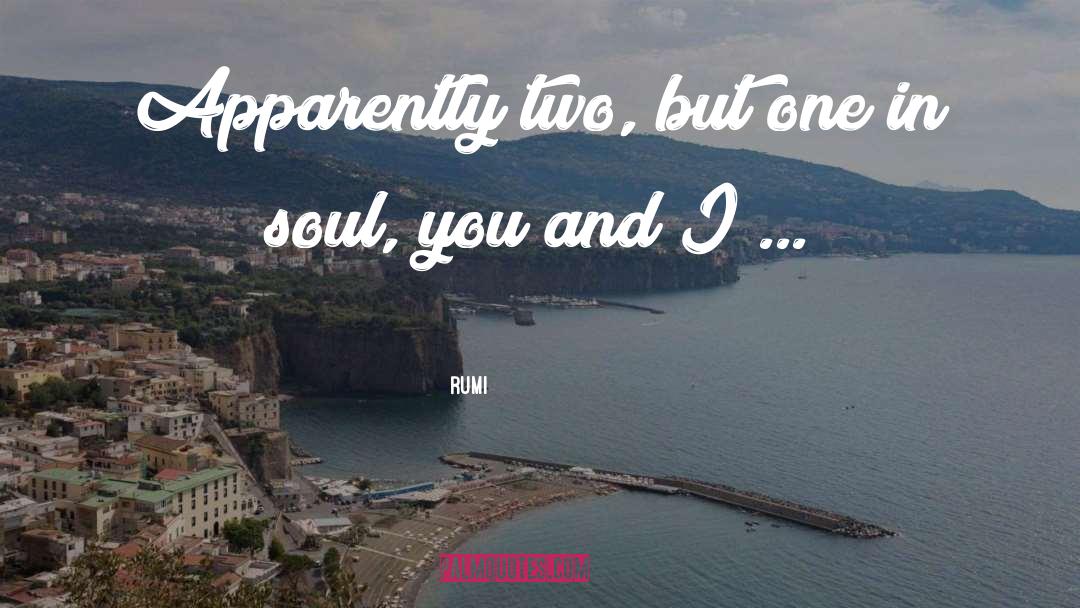 Two Soul quotes by Rumi