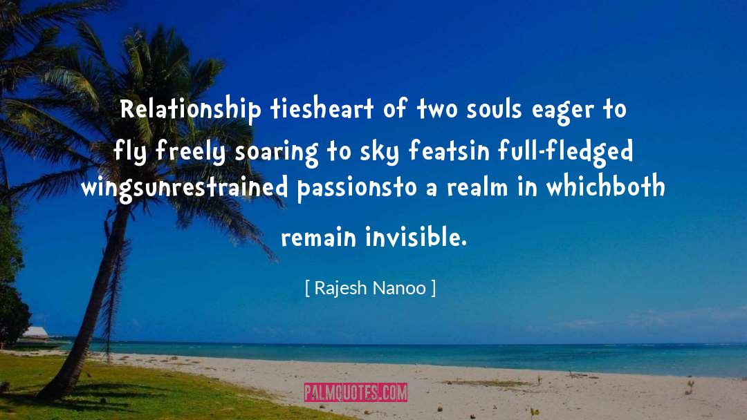 Two Souls quotes by Rajesh Nanoo