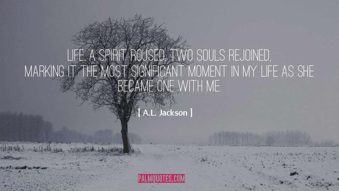 Two Souls quotes by A.L. Jackson
