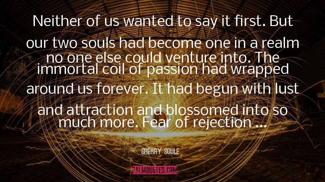 Two Souls quotes by Sherry Soule