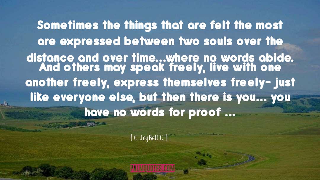 Two Souls quotes by C. JoyBell C.