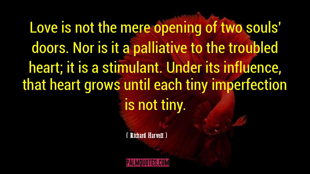 Two Souls quotes by Richard Harvell