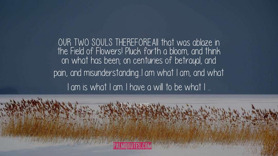 Two Souls quotes by Titania Hardie