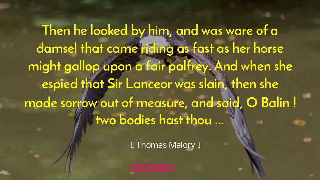 Two Souls quotes by Thomas Malory