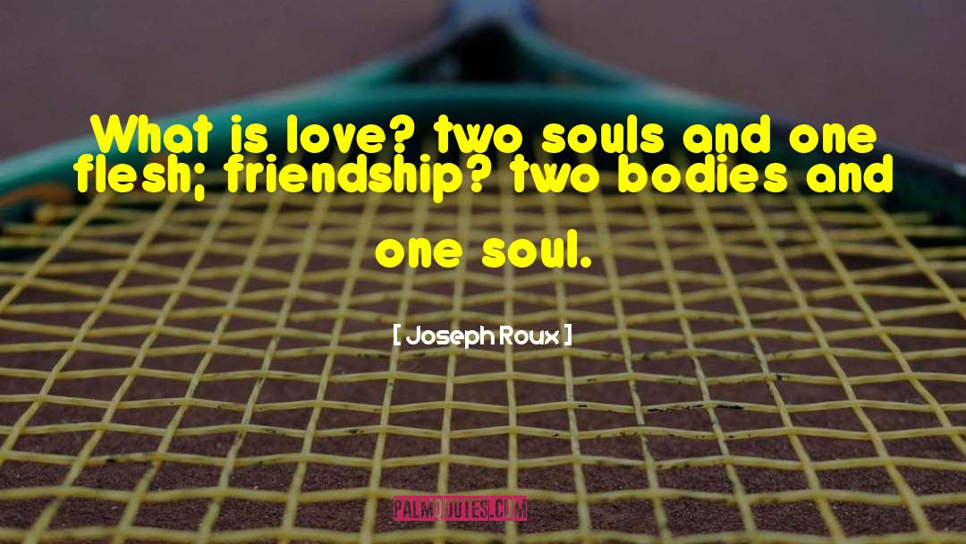 Two Souls quotes by Joseph Roux