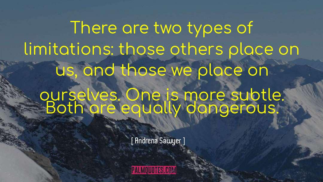Two Types quotes by Andrena Sawyer
