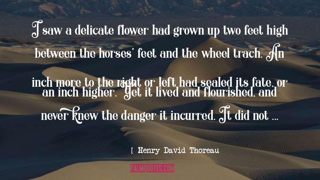 Two Wheels quotes by Henry David Thoreau