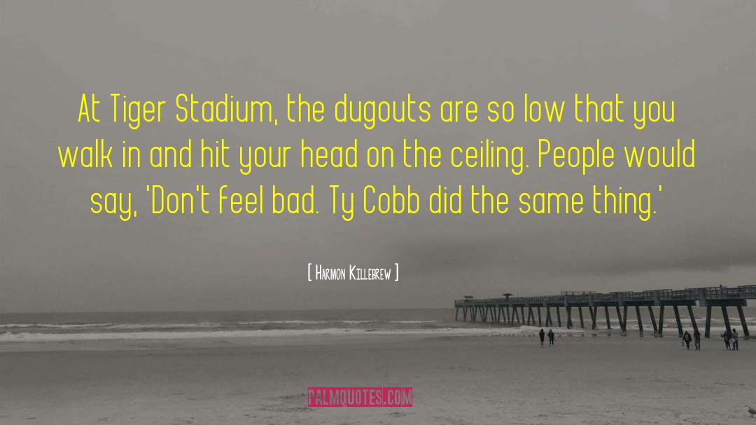 Ty Cobb quotes by Harmon Killebrew