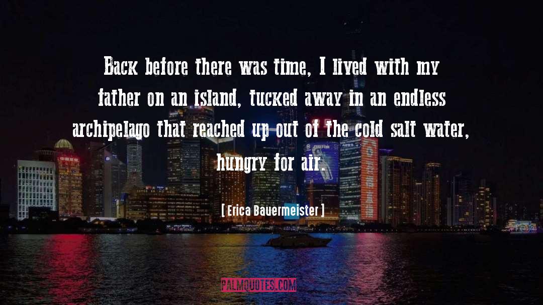 Tybee Island quotes by Erica Bauermeister