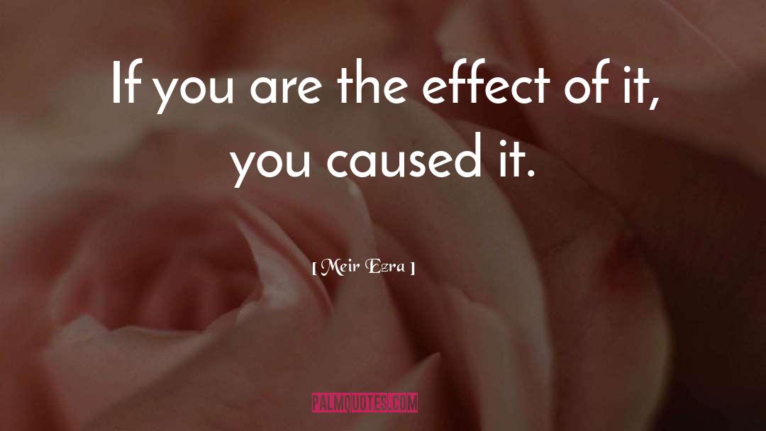 Tylenols Effect quotes by Meir Ezra