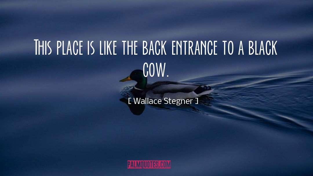 Tylon Wallace quotes by Wallace Stegner