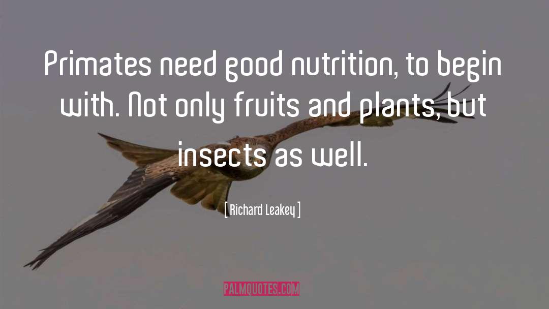Types Insects quotes by Richard Leakey