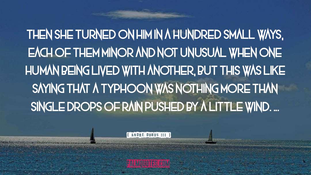 Typhoon quotes by Andre Dubus III