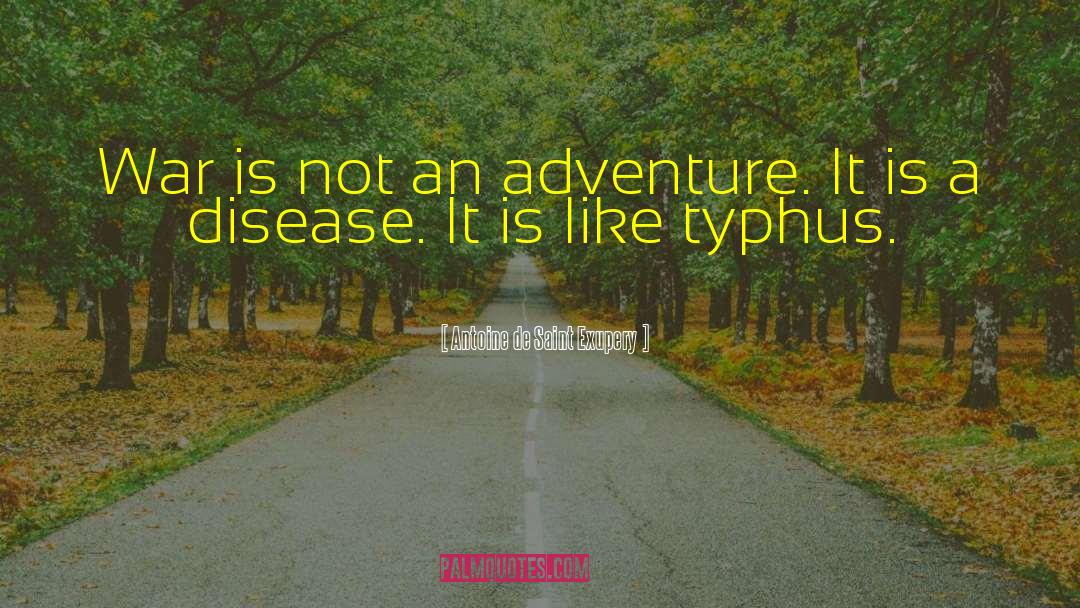 Typhus quotes by Antoine De Saint Exupery