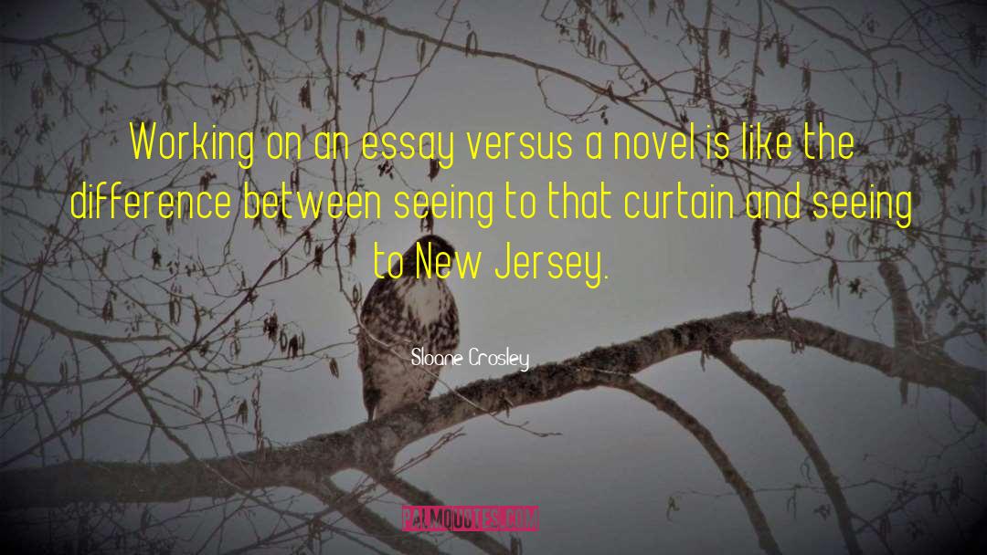 Typical New Jersey quotes by Sloane Crosley