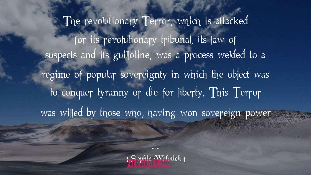 Tyranny quotes by Sophie Wahnich