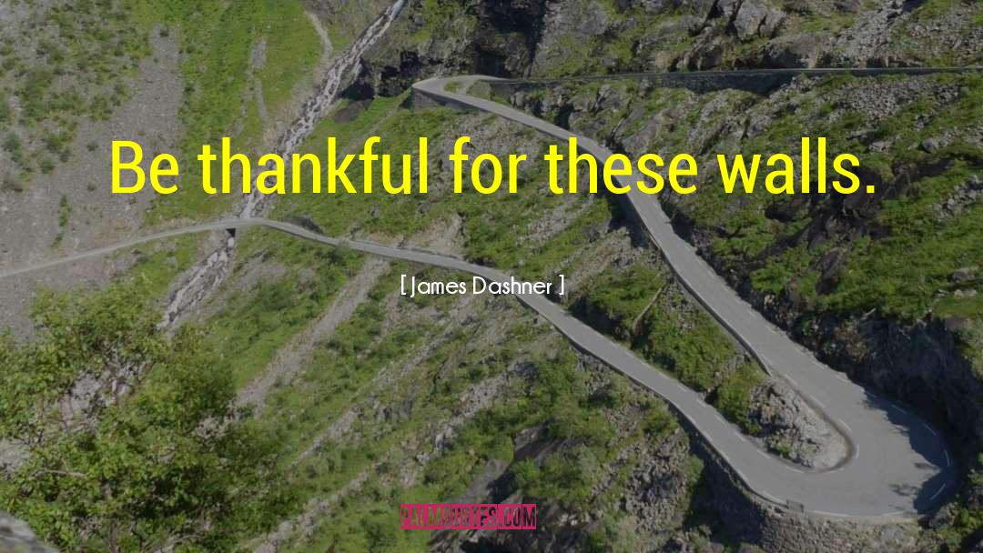 U Thankfulness quotes by James Dashner