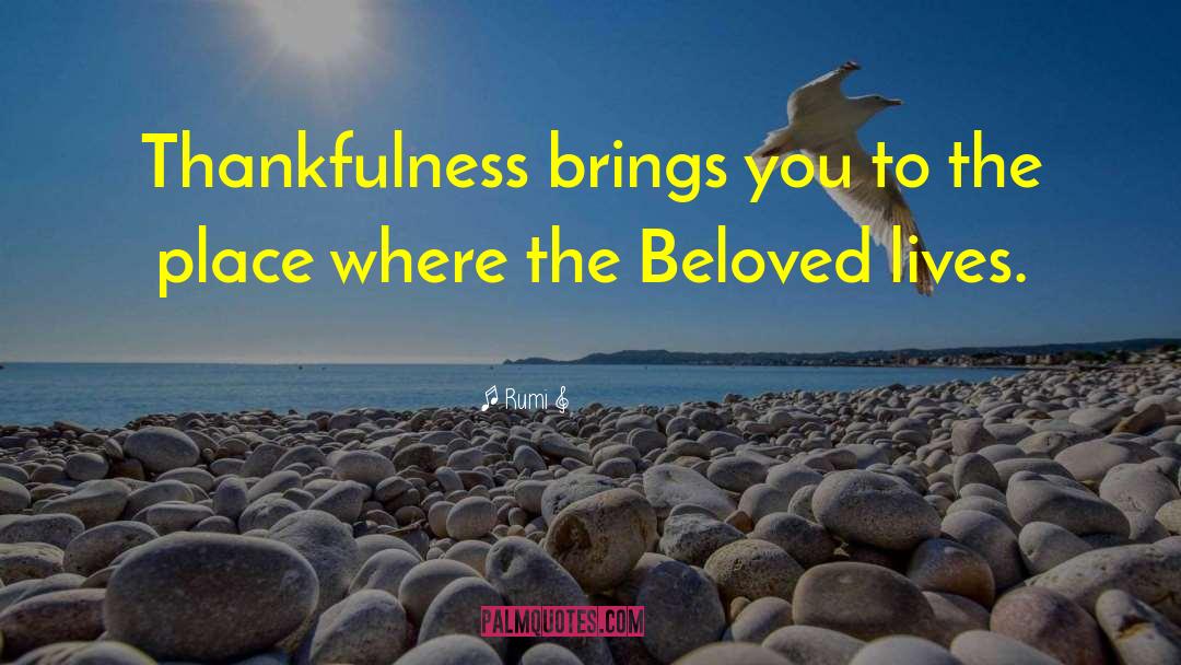 U Thankfulness quotes by Rumi