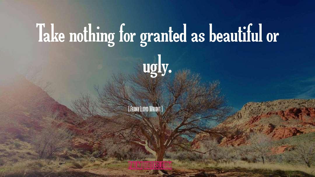 Ugly Beauty quotes by Frank Lloyd Wright