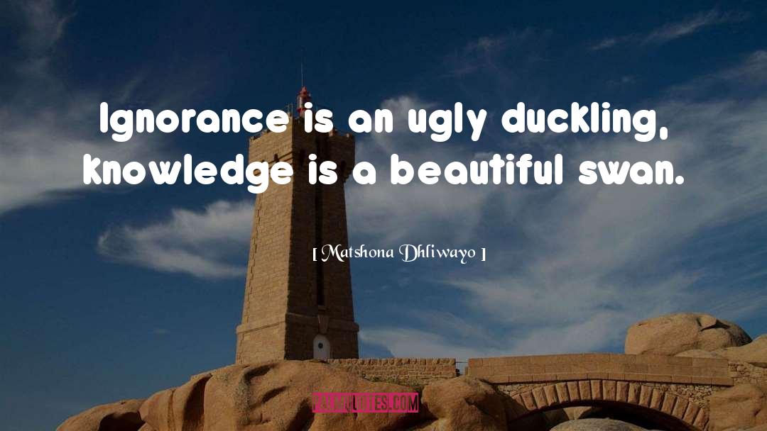 Ugly Duckling quotes by Matshona Dhliwayo