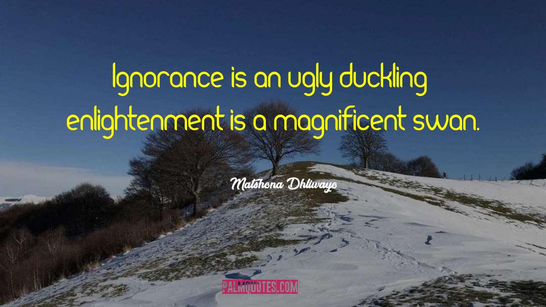 Ugly Duckling quotes by Matshona Dhliwayo