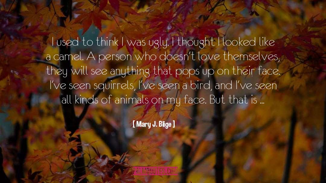 Ugly Duckling quotes by Mary J. Blige