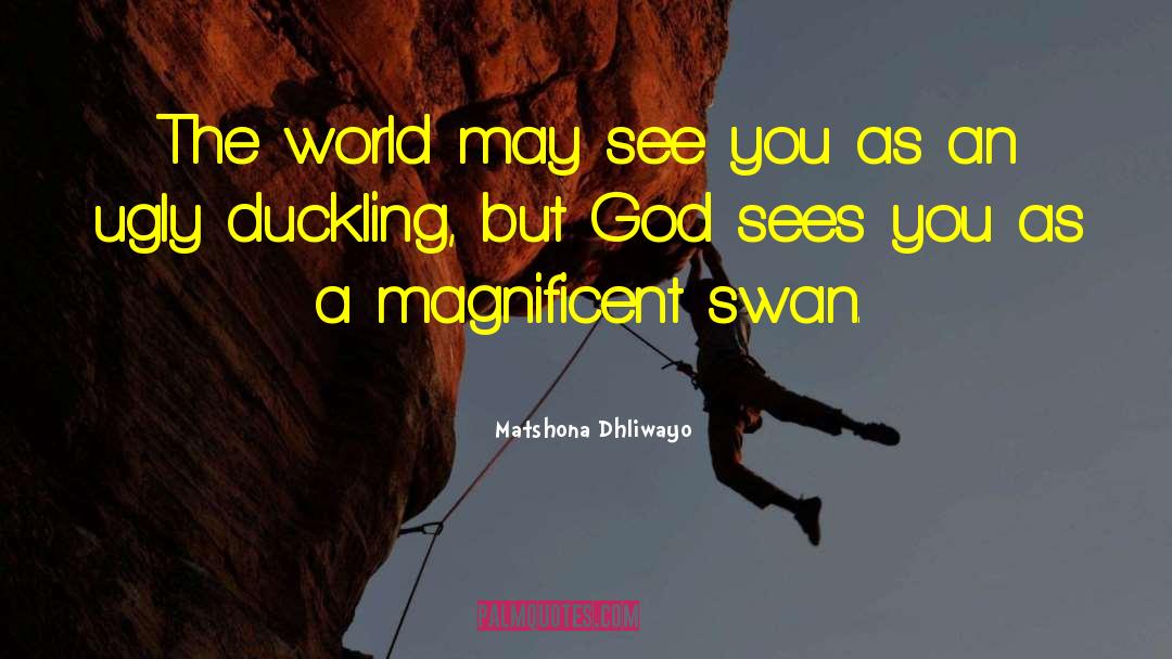 Ugly Duckling quotes by Matshona Dhliwayo