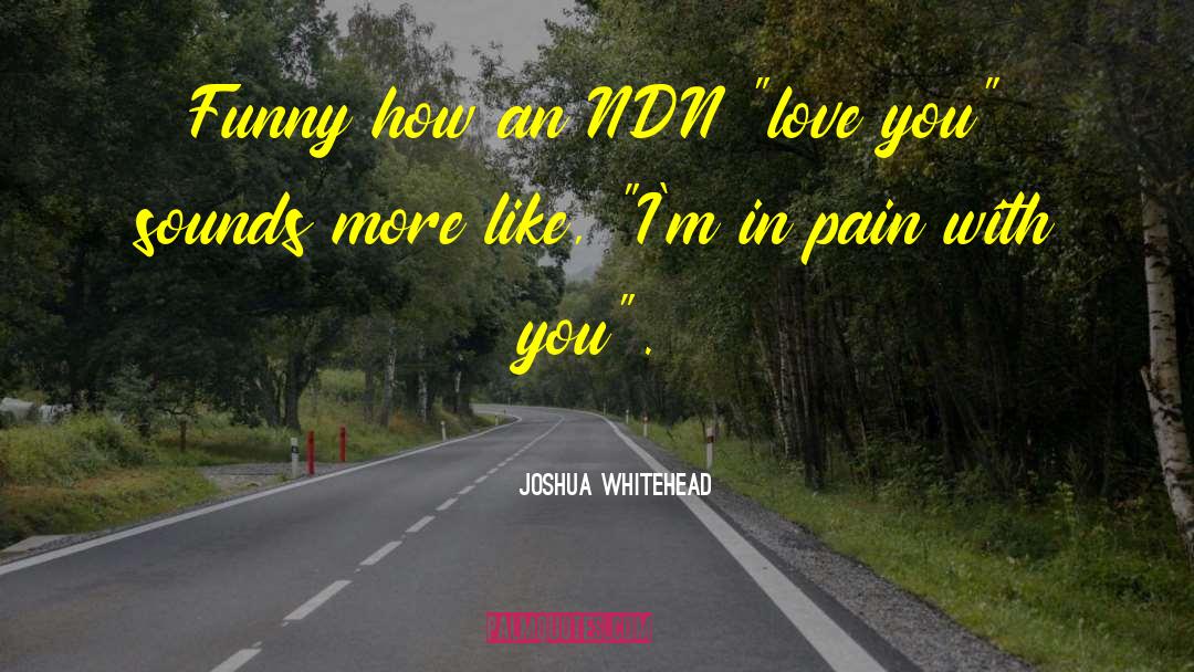 Ugly Love quotes by Joshua Whitehead