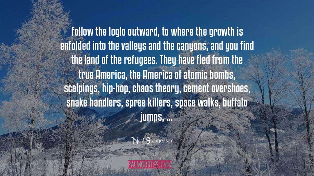 Ukrainians Of Buffalo quotes by Neal Stephenson