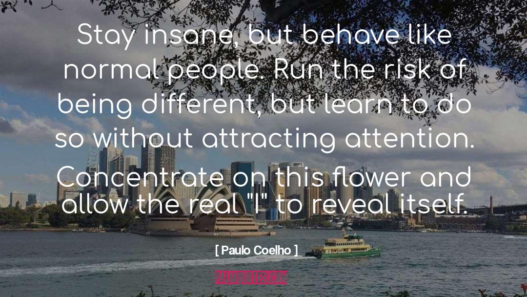 Ulex Flower quotes by Paulo Coelho