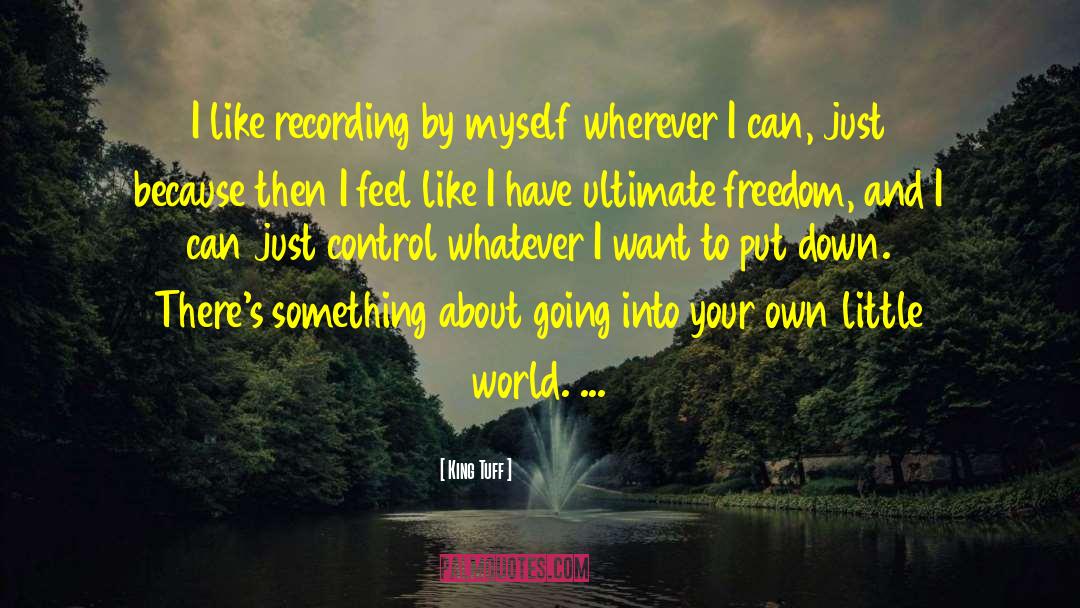Ultimate Freedom quotes by King Tuff