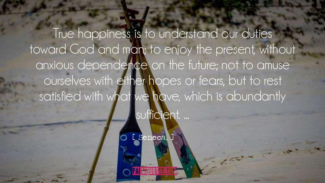 Ultimate Profit Is Happiness quotes by Seneca.