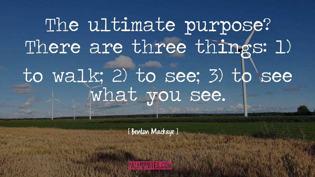 Ultimate Purpose quotes by Benton Mackaye