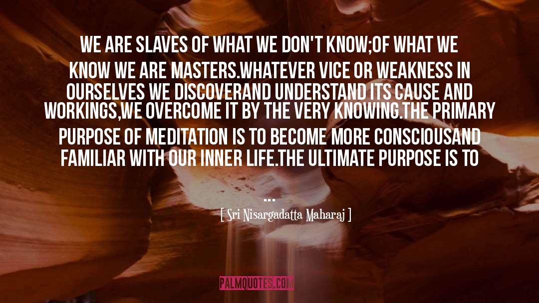Ultimate Purpose quotes by Sri Nisargadatta Maharaj