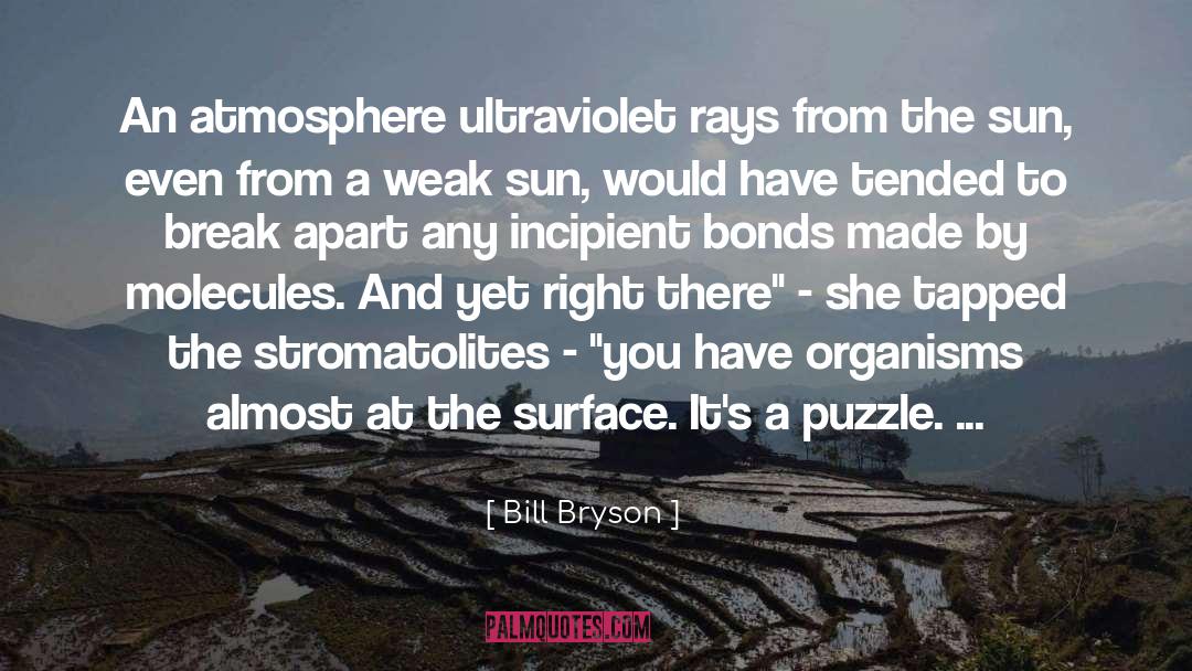 Ultraviolet quotes by Bill Bryson