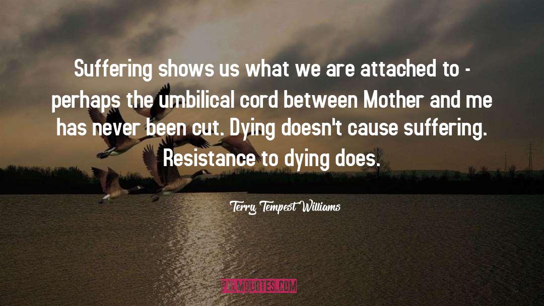 Umbilical Cord Related quotes by Terry Tempest Williams