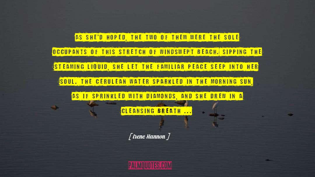 Umbrella Beach quotes by Irene Hannon
