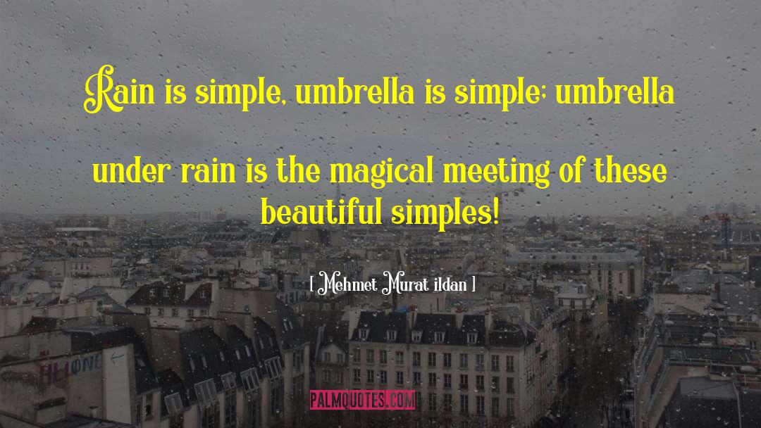 Umbrella quotes by Mehmet Murat Ildan