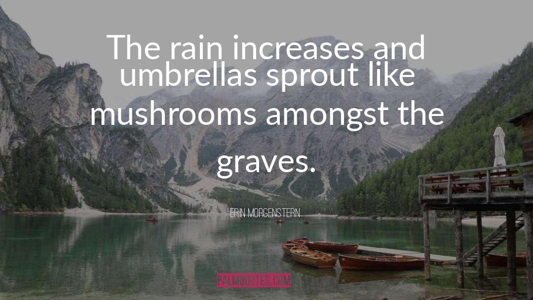 Umbrellas quotes by Erin Morgenstern