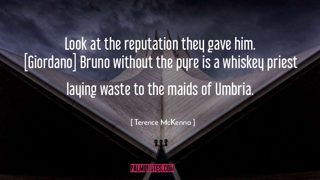 Umbria quotes by Terence McKenna