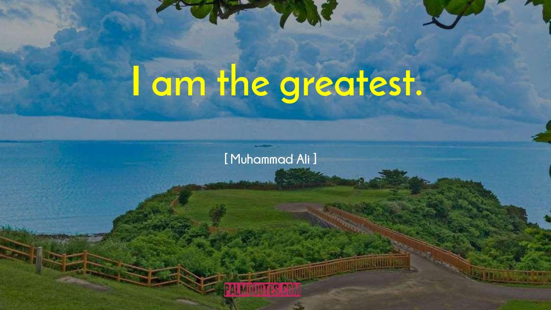 Ummat E Muhammad quotes by Muhammad Ali