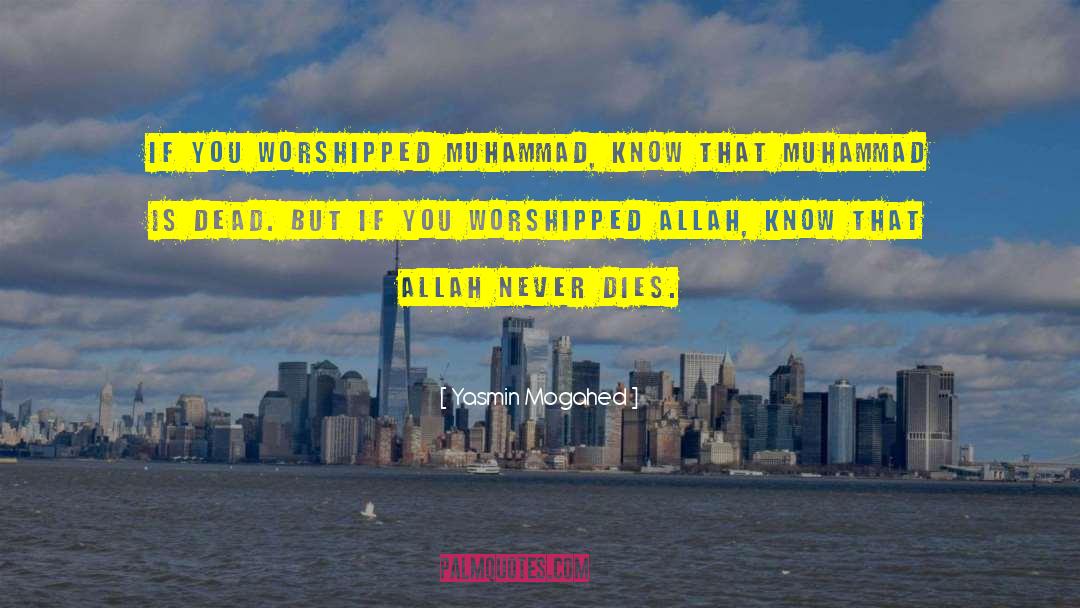 Ummat E Muhammad quotes by Yasmin Mogahed