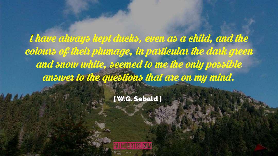 Unanswerable Questions quotes by W.G. Sebald