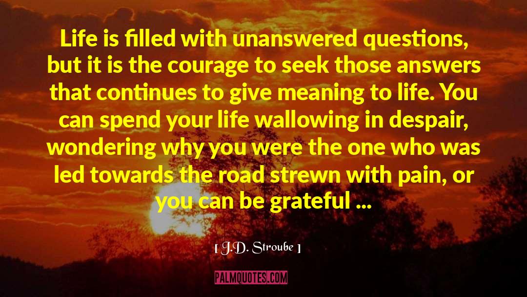Unanswered Questions quotes by J.D. Stroube