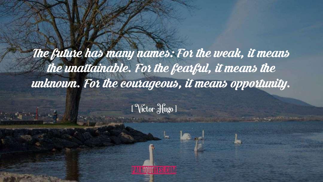 Unattainable quotes by Victor Hugo