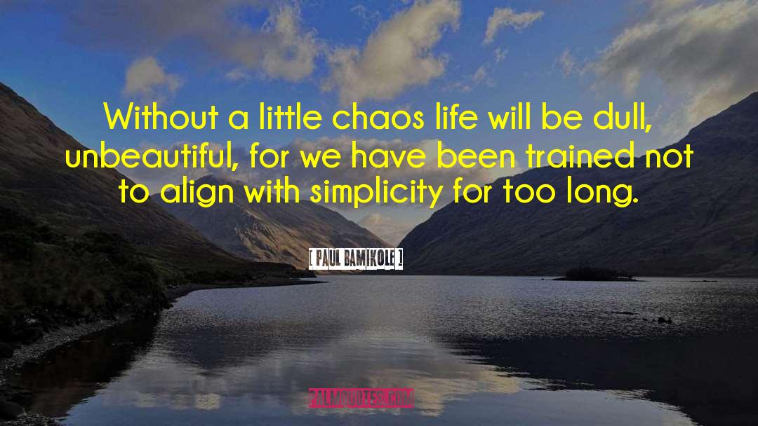 Unbeautiful quotes by Paul Bamikole