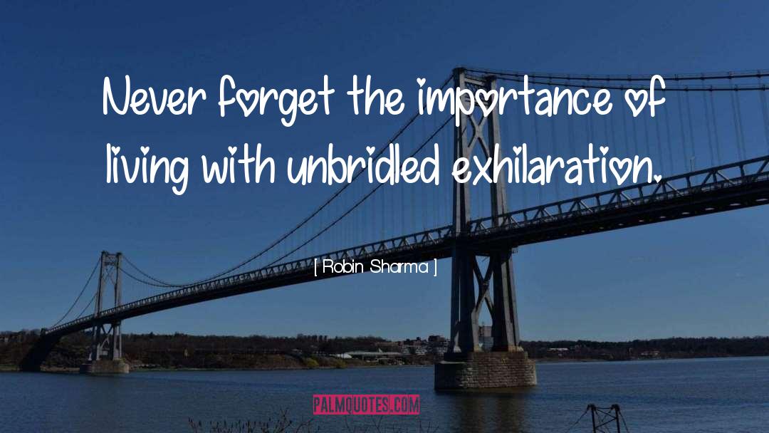 Unbridled quotes by Robin Sharma