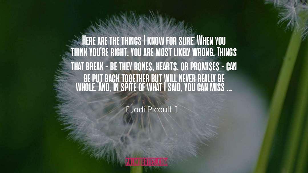 Unbroken Promises quotes by Jodi Picoult