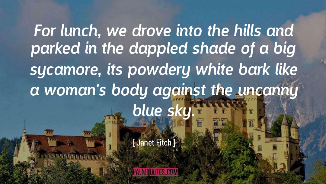 Uncanny quotes by Janet Fitch