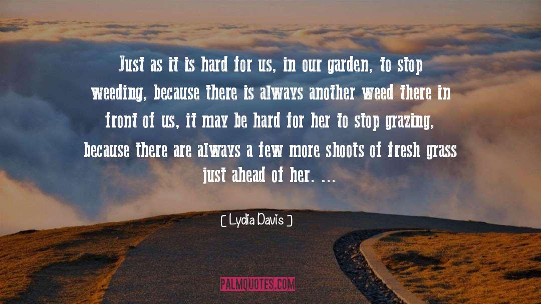 Uncared For Garden quotes by Lydia Davis